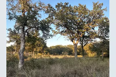 157 Paradise Oaks Court, Paradise, TX 76073 - Photo 3