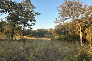 157 Paradise Oaks Ct, Paradise, TX 76073 - Photo 1