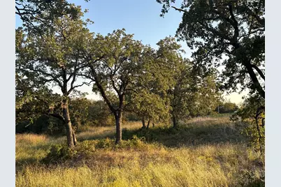 157 Paradise Oaks Court, Paradise, TX 76073 - Photo 7