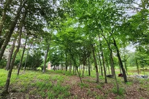 9042 Safari Bluff, LaRue, TX 75770 - Photo 27