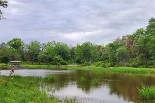 9042 Safari Bluff, LaRue, TX 75770 - Photo 3