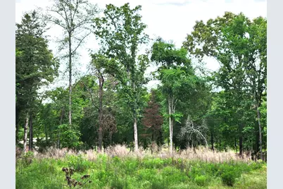 9042 Safari Bluff, LaRue, TX 75770 - Photo 5