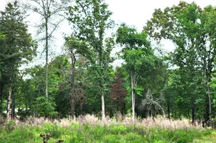 9042 Safari Bluff, LaRue, TX 75770 - Photo 5