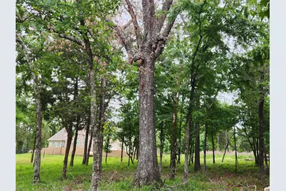 9042 Safari Bluff, LaRue, TX 75770 - Photo 39