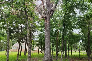 9042 Safari Bluff, LaRue, TX 75770 - Photo 39