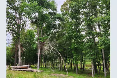 9042 Safari Bluff, LaRue, TX 75770 - Photo 19