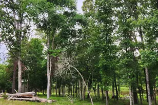 9042 Safari Bluff, LaRue, TX 75770 - Photo 19