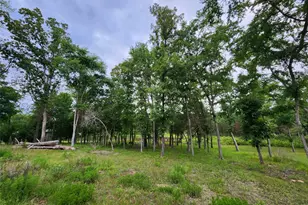 9042 Safari Bluff, LaRue, TX 75770 - Photo 21
