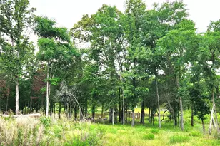 9042 Safari Bluff, LaRue, TX 75770 - Photo 13