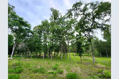 9042 Safari Bluff, LaRue, TX 75770 - Photo 9