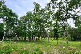 9042 Safari Bluff, LaRue, TX 75770 - Photo 9