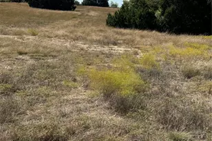 10042 Crestridge Dr, Whitney, TX 76692 - Photo 1