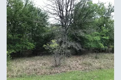 31037 Doe Run Court, Whitney, TX 76692 - Photo 3