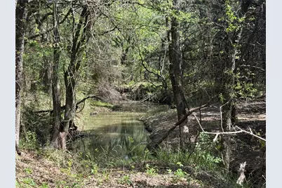 261 Catholic Cemetery Road, Montague, TX 76251 - Photo 7