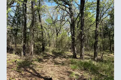 261 Catholic Cemetery Road, Montague, TX 76251 - Photo 9