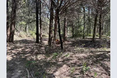 261 Catholic Cemetery Road, Montague, TX 76251 - Photo 25