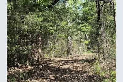 261 Catholic Cemetery Road, Montague, TX 76251 - Photo 29