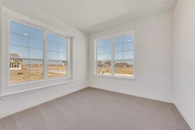 3537 Beepalm Avenue, Venus, TX 76084 - Photo 25