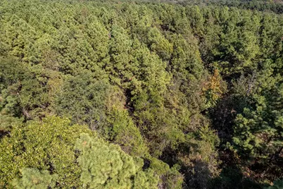 0 Cr 359, Winona, TX 75792 - Photo 5