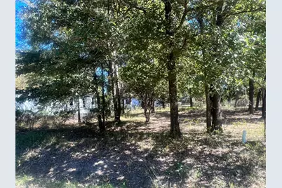 Lot 707 Cherokee Shores Drive, Mabank, TX 75156 - Photo 5