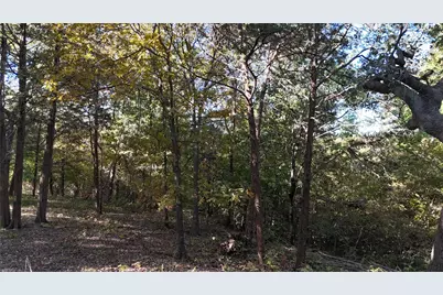 Tbd 881-4 Tanglewood Trail, Pottsboro, TX 75076 - Photo 7