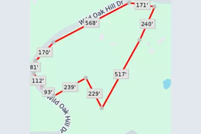 Tbd Wild Hill Oak Drive, Springtown, TX 76082 - Photo 9