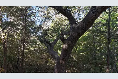 Tbd 881-3 Tanglewood Trail, Pottsboro, TX 75076 - Photo 21