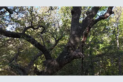 Tbd 881-3 Tanglewood Trail, Pottsboro, TX 75076 - Photo 23