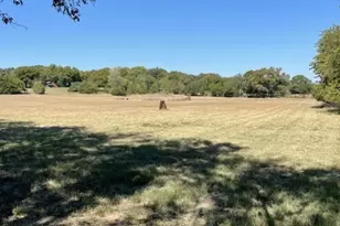 2300 FM546, McKinney, TX 75069 - Photo 3