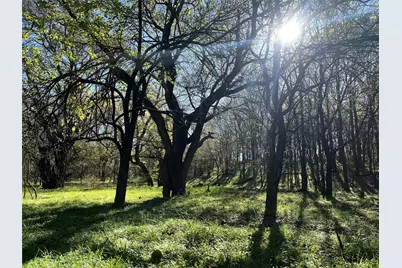 0000 Old Tioga #22 Acres, Gunter, TX 75058 - Photo 19