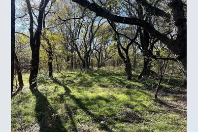 0000 Old Tioga #22 Acres, Gunter, TX 75058 - Photo 13