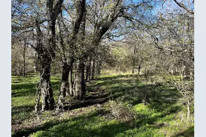 0000 Bounds Road, Gunter, TX 75058 - Photo 13