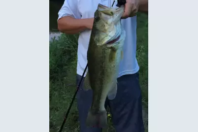 1004 County Road 4574, Sulphur Springs, TX 75482 - Photo 39