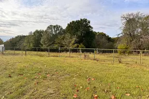 2000 Co Rd 2420, Honey Grove, TX 75446 - Photo 33