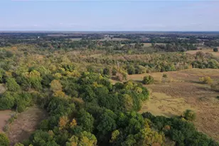 2000 Co Rd 2420, Honey Grove, TX 75446 - Photo 5