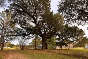 2000 Co Rd 2420, Honey Grove, TX 75446 - Photo 35