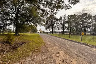 2000 Co Rd 2420, Honey Grove, TX 75446 - Photo 37