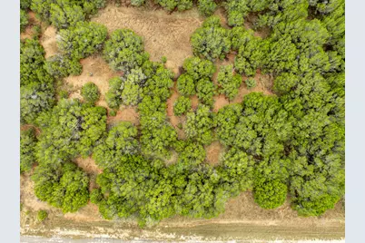 18062 Forrest Drive, Whitney, TX 76692 - Photo 3