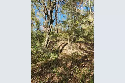 6419 Locust Street, Murchison, TX 75778 - Photo 7