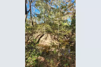 6419 Locust Street, Murchison, TX 75778 - Photo 11