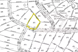 2661 Lucky Pepper Dr, Granbury, TX 76049 - Photo 1