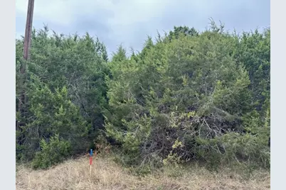 12048 Shady Creek Drive, Whitney, TX 76692 - Photo 1