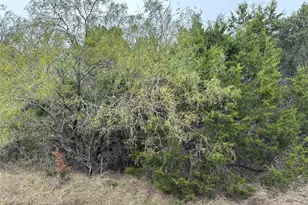 30044 Stonedale Dr, Whitney, TX 76692 - Photo 1