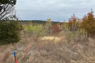 8709 Royal Tarlair Ln, Cleburne, TX 76033 - Photo 1