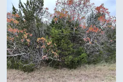 43198 Fringewood Drive, Whitney, TX 76692 - Photo 1