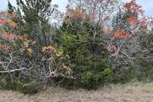 43198 Fringewood Dr, Whitney, TX 76692 - Photo 1