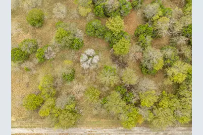 39081 Springwillow Court, Whitney, TX 76692 - Photo 5