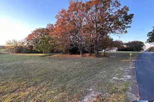 55127 Private Rd, Alba, TX 75410 - Photo 3