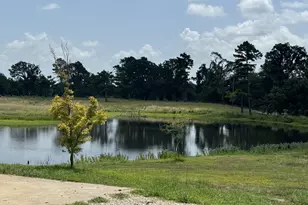 520 County Rd 35985, Powderly, TX 75473 - Photo 7