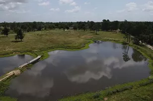 520 County Rd 35985, Powderly, TX 75473 - Photo 9